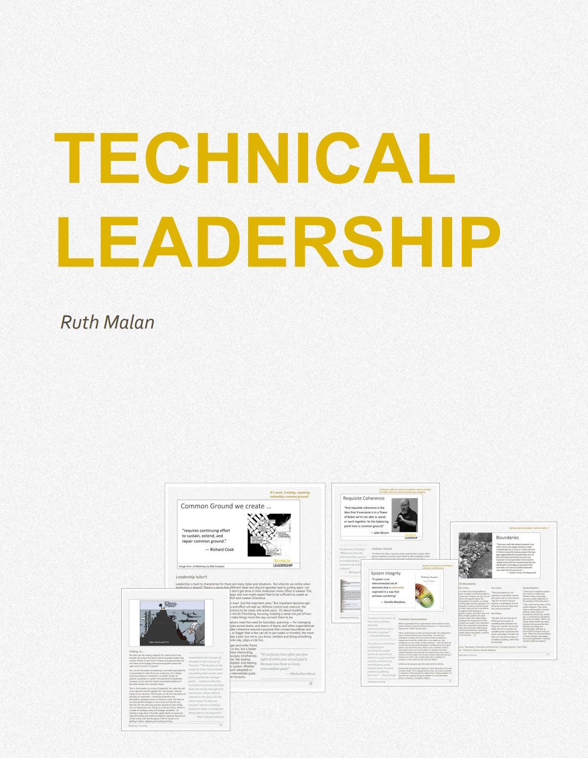 Technical Leadership