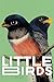Little Birds by Shy Watson