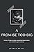 A PROMISE TOO BIG by Josues Mbala