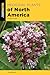 Medicinal Plants of North A...