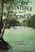 Adventures in the Wildernes...