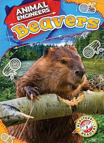 Beavers (Animal Engineers)