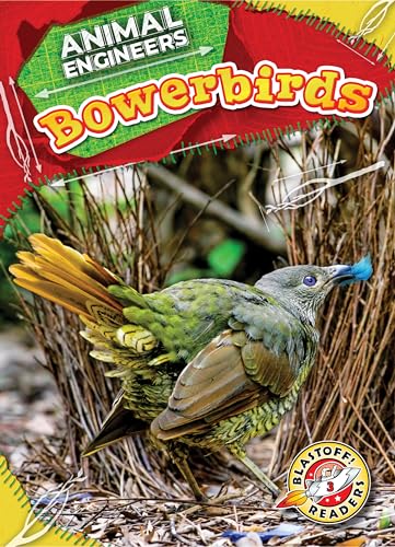 Bowerbirds (Animal Engineers)