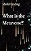 What is the Metaverse?