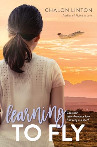 Learning to Fly (Air Force Romance)