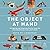 The Object at Hand: Intrigu...