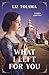 What I Left for You (Echoes of the Past #3)