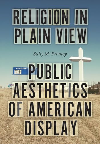 Religion in Plain View: Public Aesthetics of American Display (Hardcover)