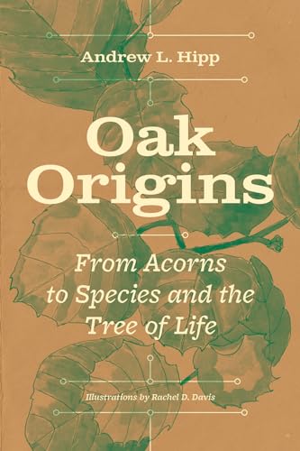 Oak Origins: From Acorns to Species and the Tree of Life (Hardcover)
