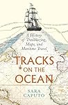 Tracks on the Ocean by Sara Caputo
