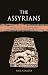 The Assyrians: Lost Civiliz...