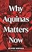 Why Aquinas Matters Now (Interfaces)