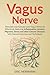 Vagus Nerve: Stimulate and ...
