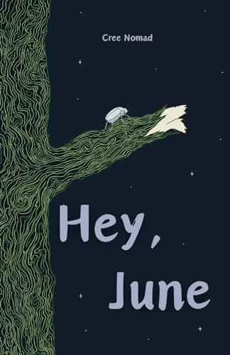 Hey, June (Paperback)