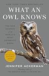 What an Owl Knows...