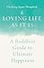 Loving Life as It Is: A Buddhist Guide to Ultimate Happiness