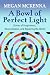 A Bowl of Perfect Light: Stories of Forgiveness, Reconciliation and Repairing the World