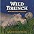 Wild Brunch: Poems About How Creatures Eat