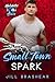 Small Town Spark by Jill Brashear Small Town Spark by Jill Brashear