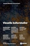 Visuella kulturst...