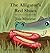 The Alligator's Red Shoes