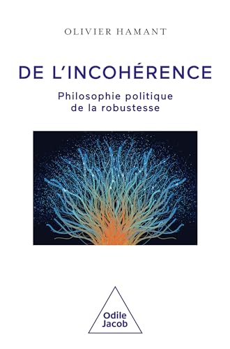 De l'incohérence: Philosophie politique de la robustesse (French Edition)