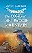 The Song of Sourwood Mountain by Ann H. Gabhart