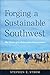 Forging a Sustainable South...