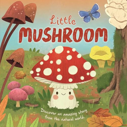 Little Mushroom (Board Book)