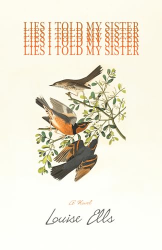 Lies I Told My Sister (Paperback)