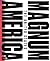 Magnum America by Peter van Agtmael