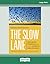 The Slow Lane: Why Quick Fixes Fail and How to Achieve Real Change