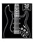 Fender Stratocaster 70 Years by Dave Hunter