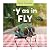 -Y as in Fly (Word Families)