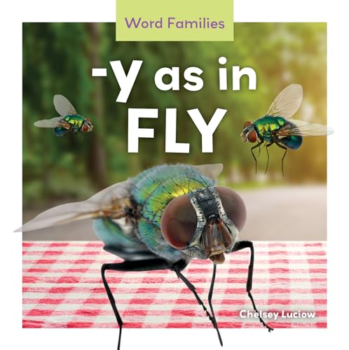 -Y as in Fly (Word Families)