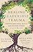 Healing Leadership Trauma by Nicholas  Rowe