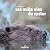 Les mille vies du castor by Remi Masson