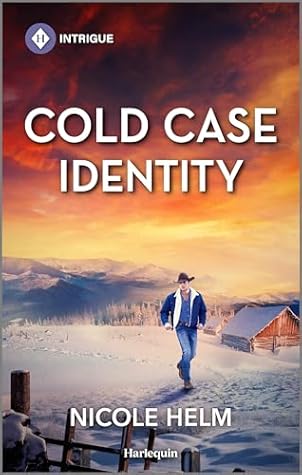 Cold Case Identity (Hudson Sibling Solutions #2)