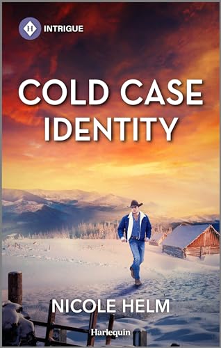 Cold Case Identity (Hudson Sibling Solutions #2)