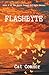 Flashbyte