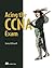 Acing the CCNA Exam, Volume 1: Fundamentals and Protocols (1)