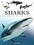 Sharks & Underwater Predators (Mini Encyclopedias)