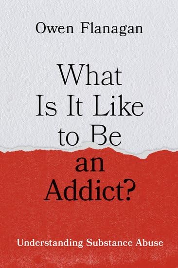 What Is It Like to Be an Addict?: Understanding Substance Abuse (Hardcover)