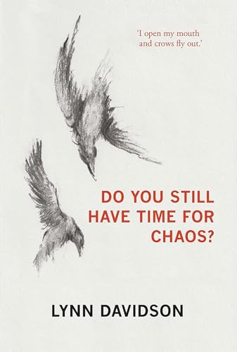 Do You Still Have Time for Chaos? (Paperback)