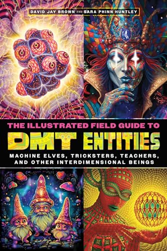 The Illustrated Field Guide to DMT Entities: Machine Elves, Tricksters, Teachers, and Other Interdimensional Beings (Paperback)