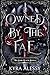 Owned by the Fae (The Dark ...