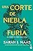 Una corte de niebla y furia by Sarah J. Maas