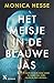 Het meisje in de blauwe jas by Monica Hesse