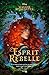 Esprit rebelle (French Edition)