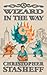 A Wizard in the Way (Chronicles of the Rogue Wizard)